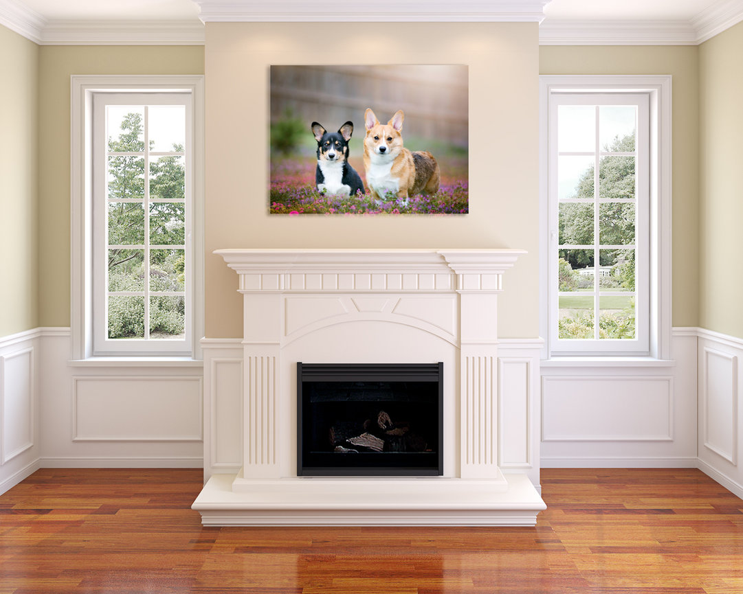 Browse photography work from Connie Collum Photography in Hoover, Alabama.