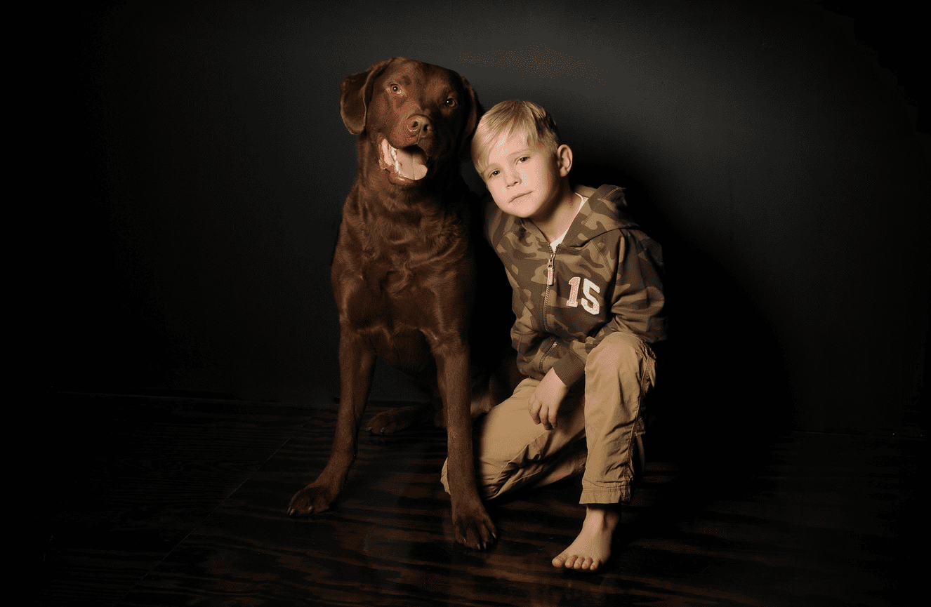 A four year old boy kneeling with his chocolate lab dog during a pet photo shoot at Kliks Photography..
