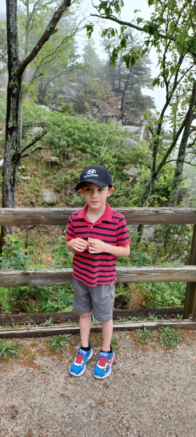 Child standing on a wooden pathway in the forest