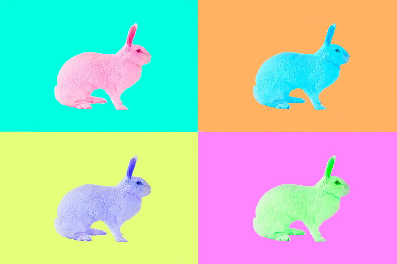 Four colorful images of a rabbit as a wallart piece.