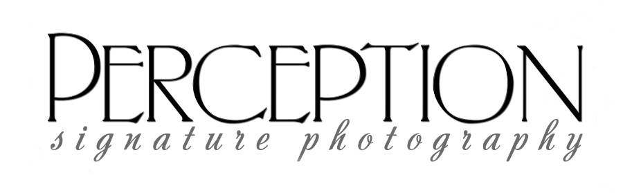 Perception Signature Photography Logo